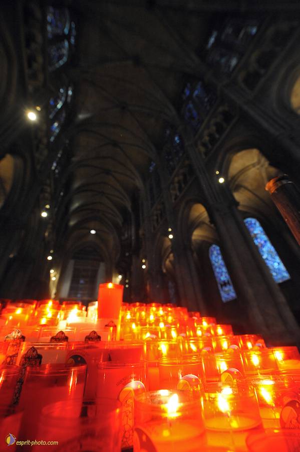 Nom de l'image : D30050278_1_(c)Norbert-JUNG — Description :